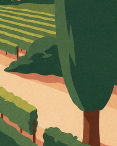 Un cyprès au feuillage vert sombre et au tronc brun, au bord des vignes