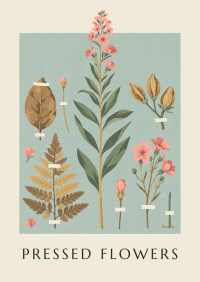 Poster of a herbarium of dried plants and flowers on cream paper: the full poster