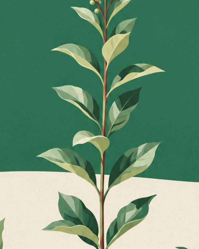 A long leafy stem in soft green tones, against a deep green and cream background