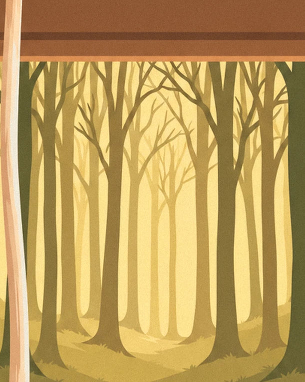 A forest of bare trees in golden light, seen through the studio window