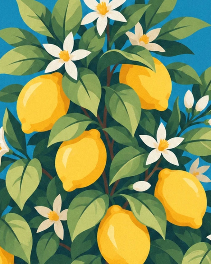 The ripe lemons among green leaves and white blossom against a blue sky