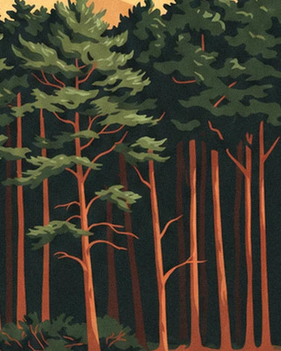 La forêt de pins aux longs troncs orangés sous un feuillage vert sombre