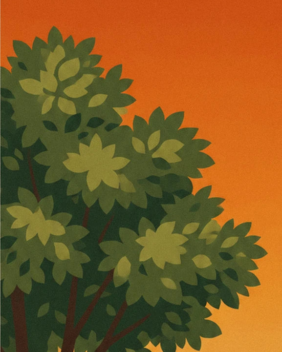 Feuillage vert de houblon se découpant sur un ciel orange de fin de journée
