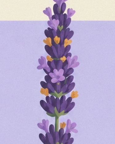 Un épi de lavande violet aux petites touches mauves et ocre, sur fond lilas