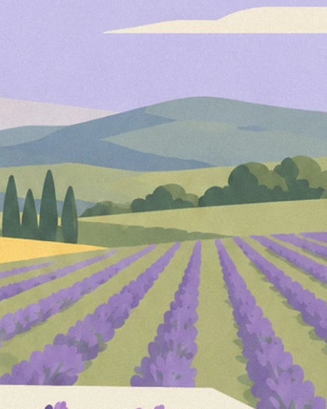 Des rangées de lavande mauve devant des collines bleutées et des cyprès