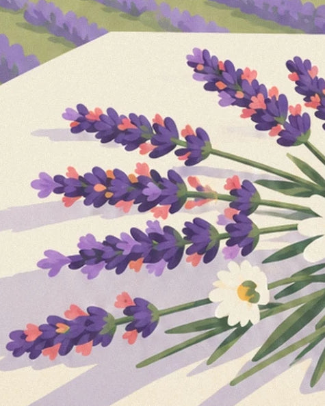 Des brins de lavande aux touches corail et des marguerites sur un fond crème