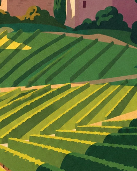 Rows of green and yellow vines tracing the hillsides below the houses