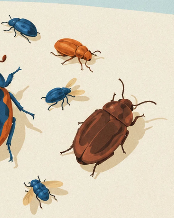 Small blue, orange and reddish-brown beetles on a cream background, with 2 golden-winged flies