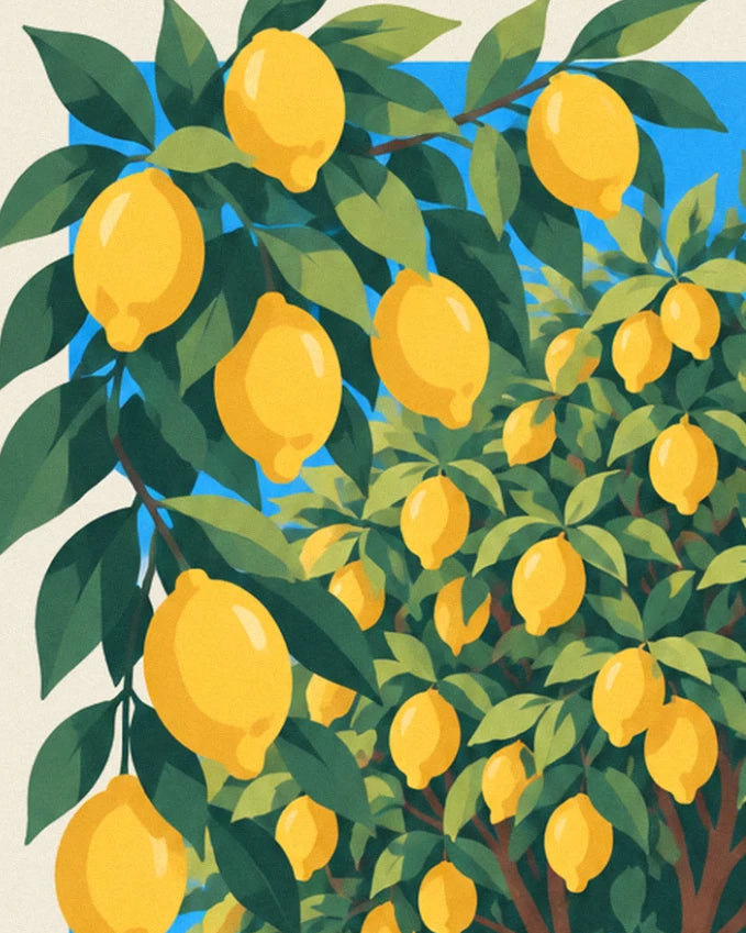 The ripe yellow lemons among their green leaves, against a blue sky