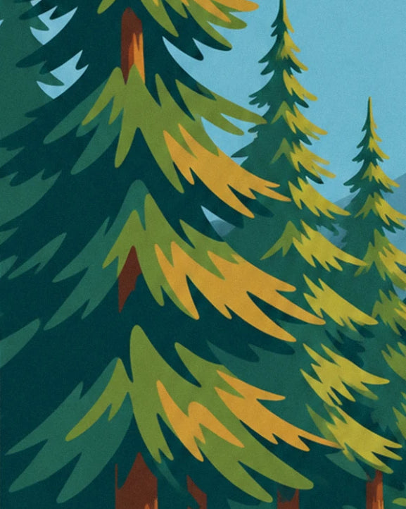 Les sapins aux branches vert sombre et jaune moutarde, avec un bout de ciel bleu