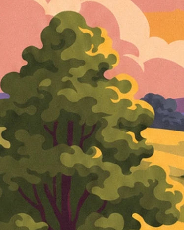 A tree with olive-green foliage in front of golden fields and a pink and orange sky
