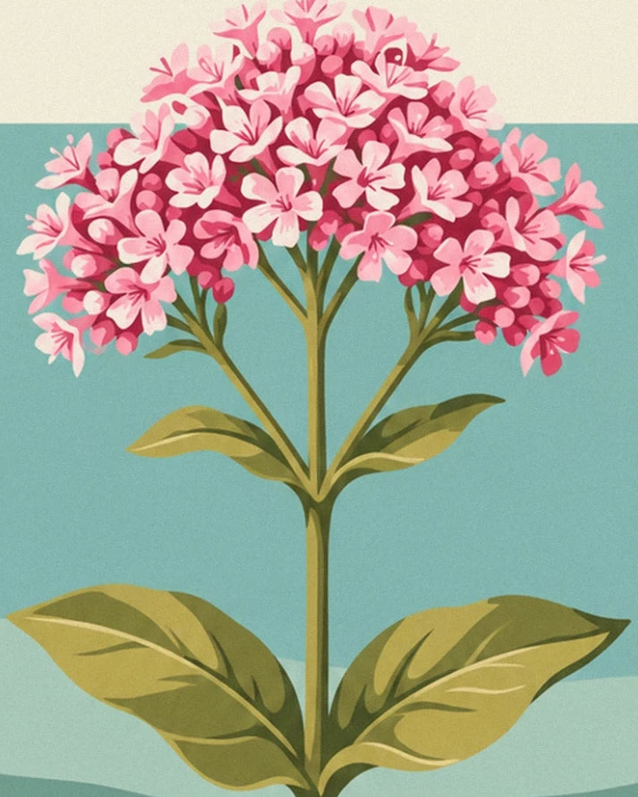 Les bouquets de fleurs roses de valériane au sommet des tiges feuillues