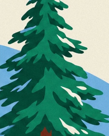 A fir tree with dark green branches laden with snow in front of the mountains