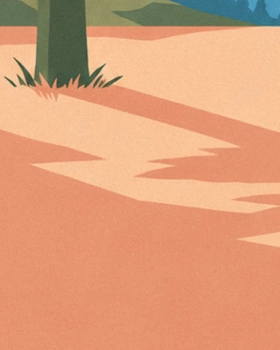 Le pied d’un pin bordé d’herbes et les longues ombres sur le sol orangé