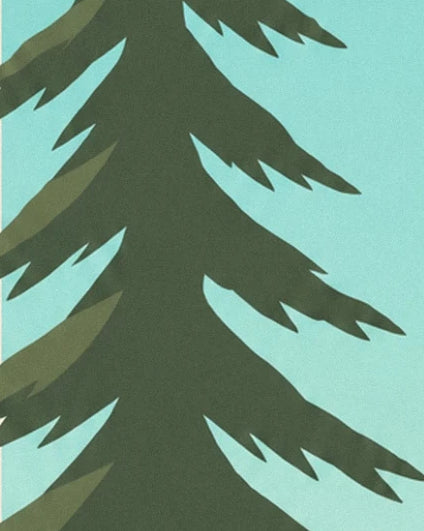 Les branches pointues d’un pin vert sombre sur un fond bleu turquoise