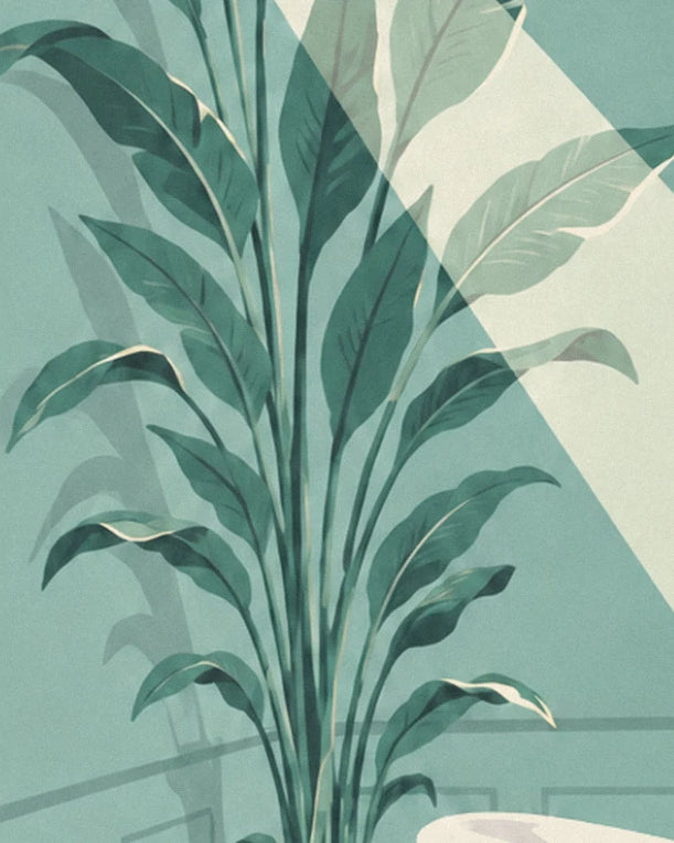 Large sage green banana leaves in front of the green wall and a cream beam of light