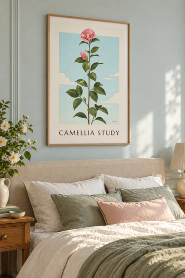 Affiche planche botanique de camélia rose en fleur : encadrée au mur