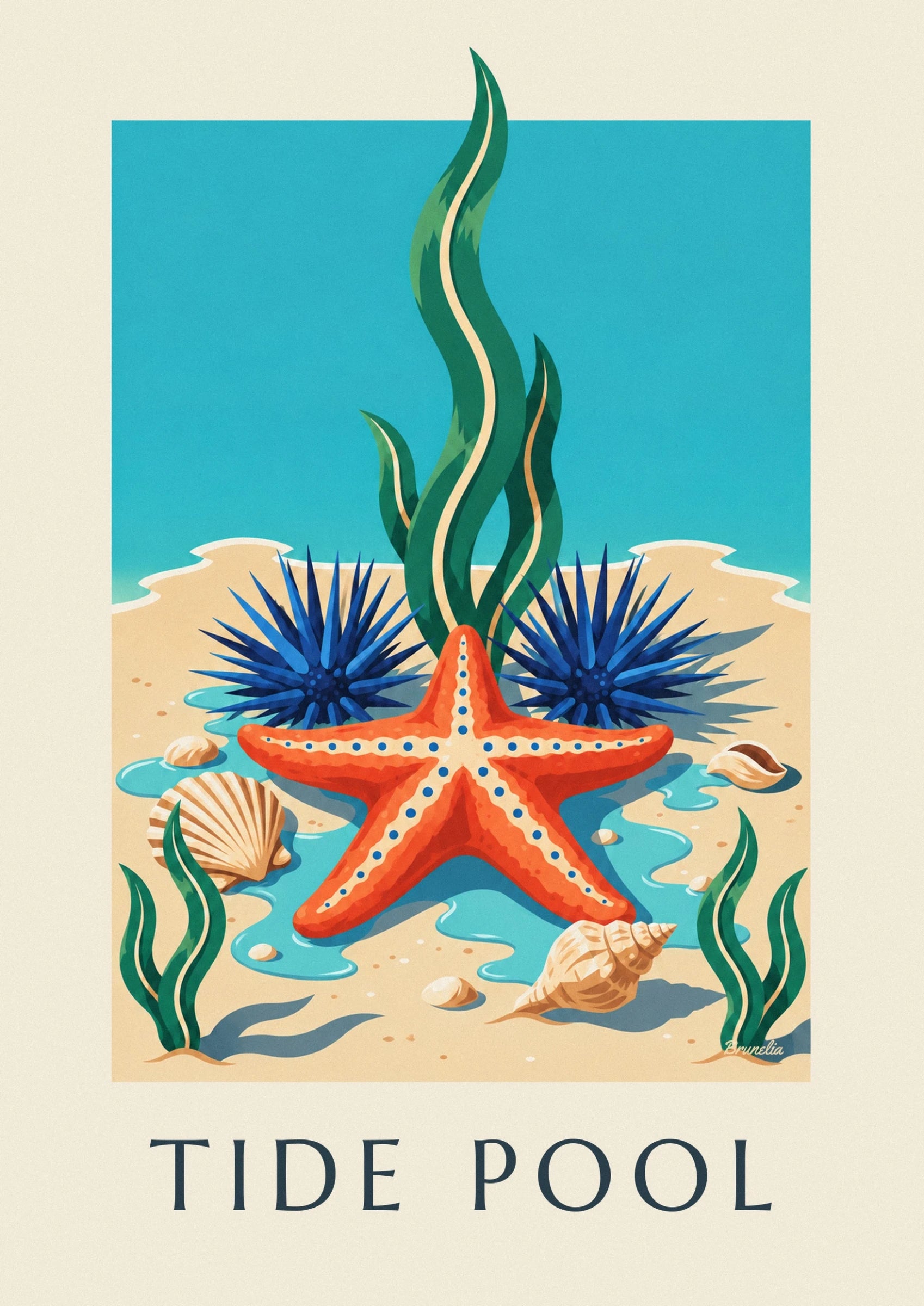 Cape coast starfish and marine life poster: close-up detail