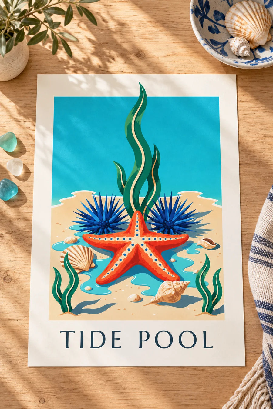 Poster of a starfish and marine life of the Cape coast: placed on a table
