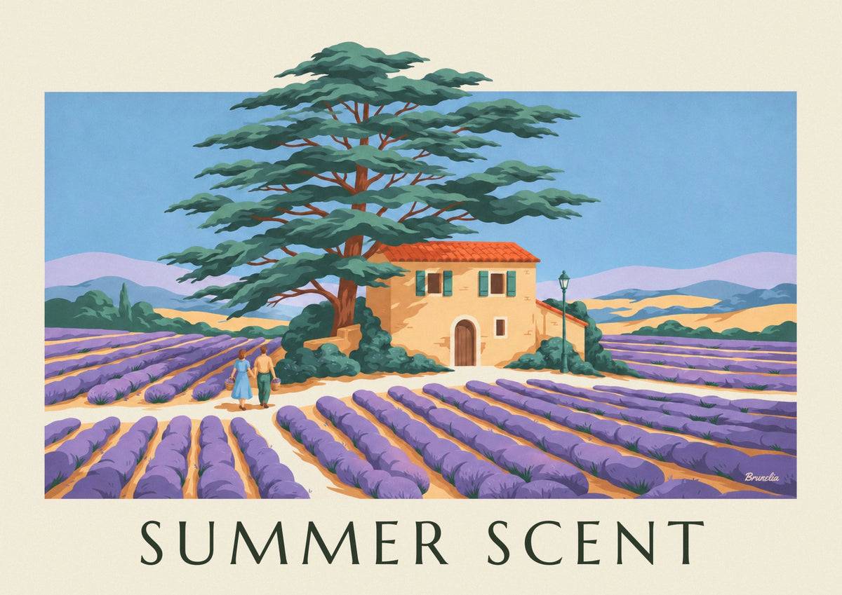 Lavender, cedar and Provençal house poster